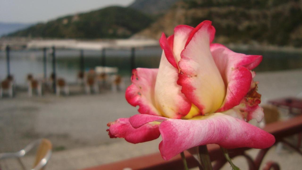 Porto Sabatiki 호텔 삼파티키 외부 사진